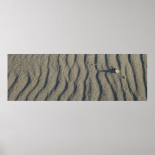 Poster Vento Areia de praia Esculpida e Pedra, nas dunas.