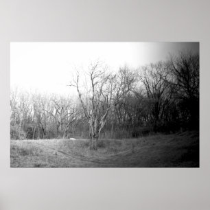 Pôster Vento do inverno