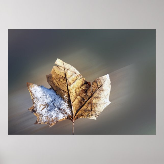 Poster vento e neve (Frente)