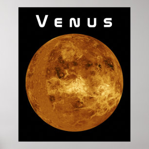 Pôster Venus