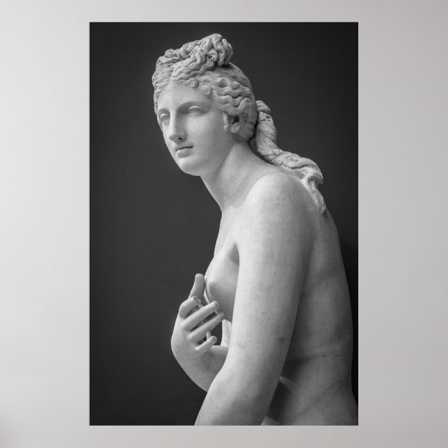 Poster Venus (Frente)