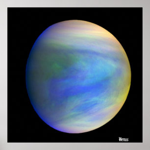Poster Vênus /