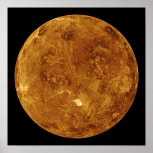 Pôster Venus 2