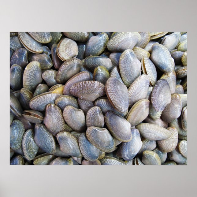 Poster Venus Clam [ห อ ย ล า ย] (Frente)