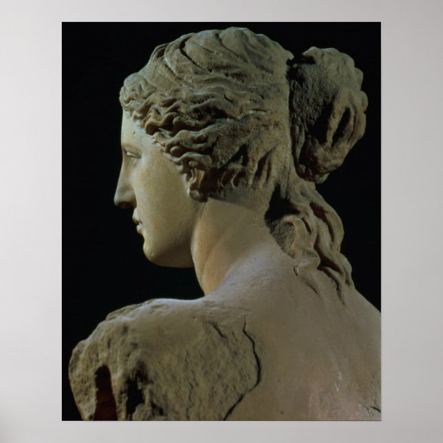 Pôster Vênus de Milo, detalhe da parte de trás da cabeça, (Frente)