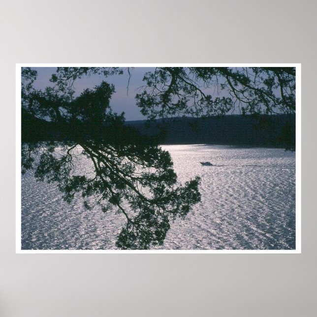 Pôster Ver A Partir Dos Clipes (Frente)