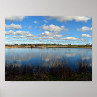 Poster Ver nas zonas úmidas