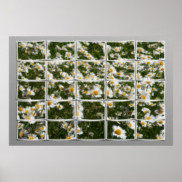 Poster Verão de 2006