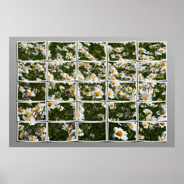 Poster Verão de 2006 (Frente)