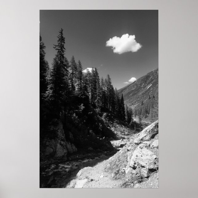 Poster Verão em Suiça, preto e branco (Frente)
