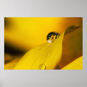 Pôster Verão em uma gota II.