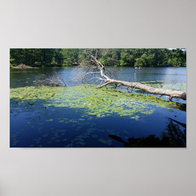 Poster verão ensolarado (Frente)