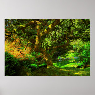 Pôster Verão, Jardim Japonês de Portland, Portland