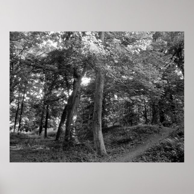 Poster Verão na Madeira (Frente)