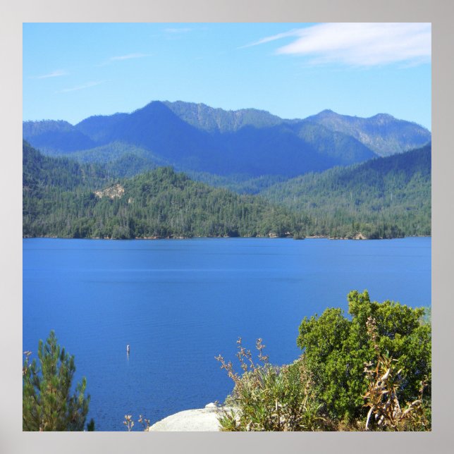 Poster Verão no lago.... (Frente)
