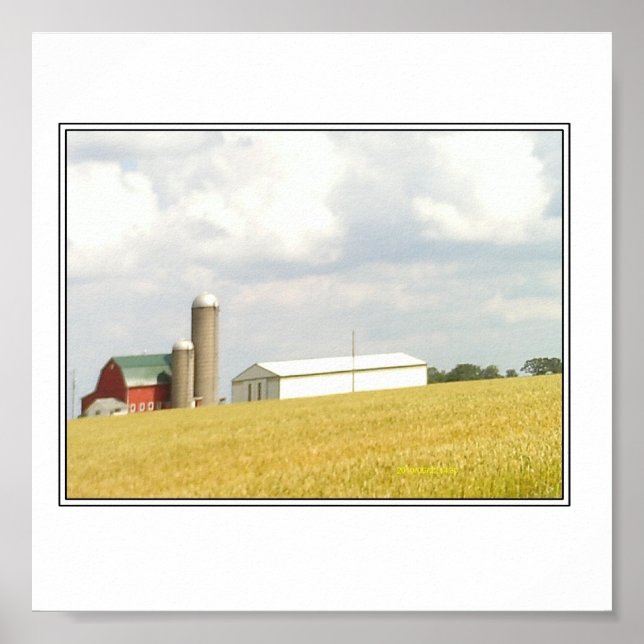 Pôster Verão no País (Frente)