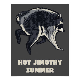 Pôster Verão Quente Jimothy Funny Raccoon Meme Animal