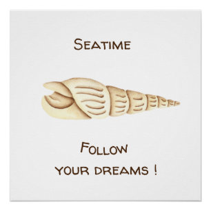 Pôster Verão Siga seus sonhos Concha Romântico Fofo