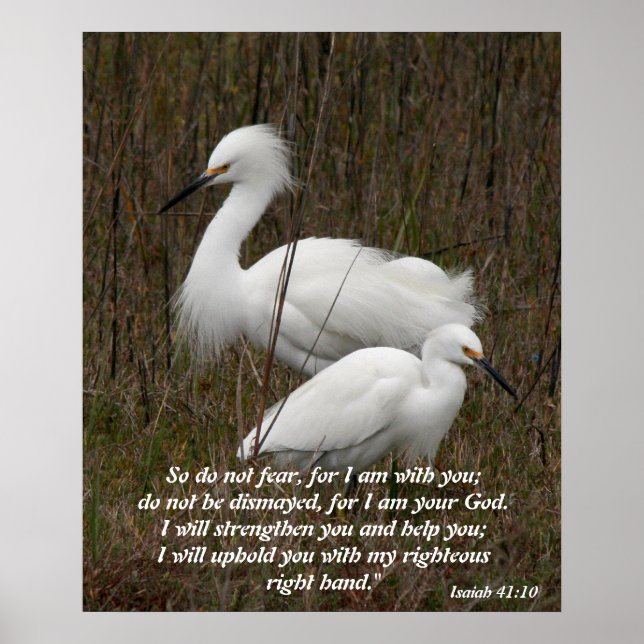 Poster Verdade do Espírito de Inspiração da Escritura Cri (Frente)