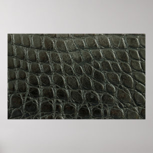 Poster Verdadeira textura de couro de jacaré preto, fecha