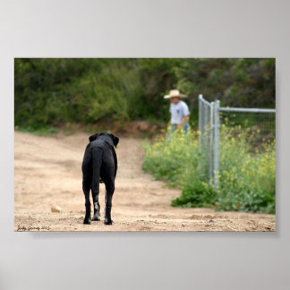 Poster Verdadeiro Esperas de Amor
