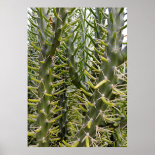 Poster "Verdant Sentinels: A Majestade Rápida de Cactus