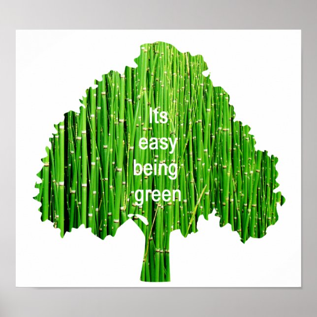 Poster verde (Frente)