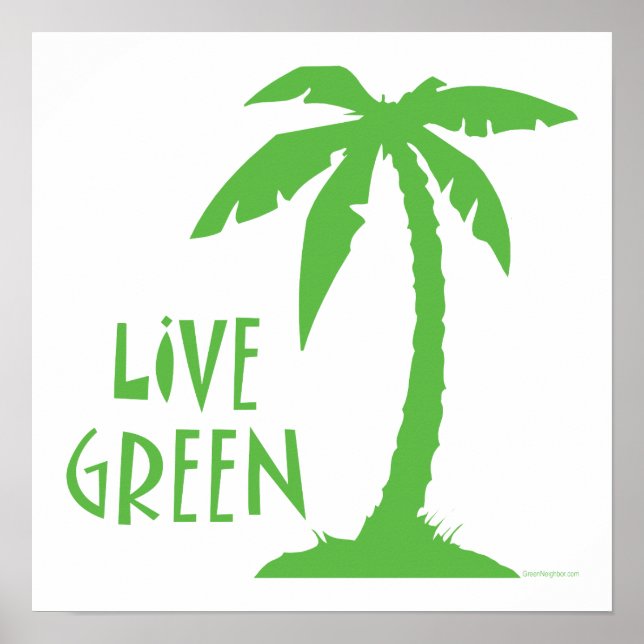 Pôster Verde ao vivo - Árvore Palm (Frente)