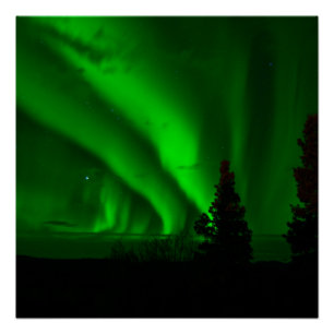 Pôster verde aurora-boreal