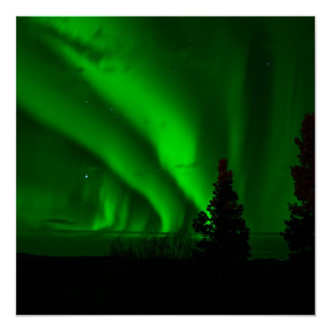 Pôster verde aurora-borealis (Frente)
