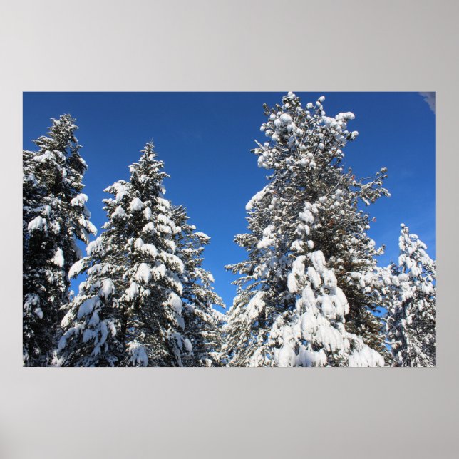 Poster verde da ponta da neve (Frente)