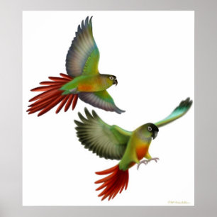 Poster verde de Conures do mordente