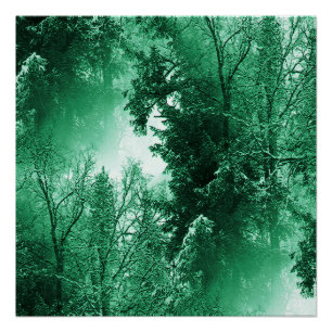 Pôster Verde de inverno...