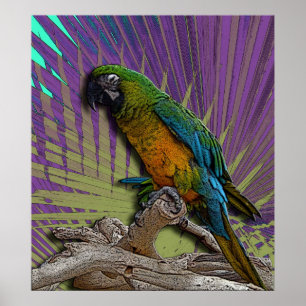 Poster verde do papagaio