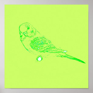 Poster verde do Parakeet