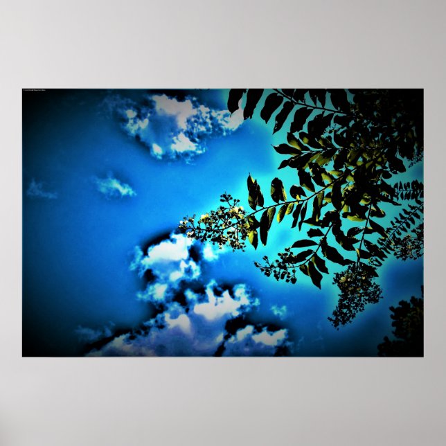 Poster Verde em Azul, (Frente)