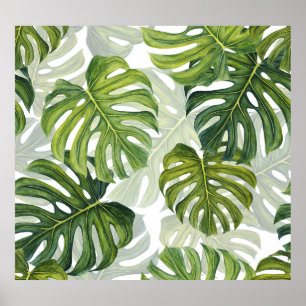 Poster Verde Monstera Tropical Watercolor