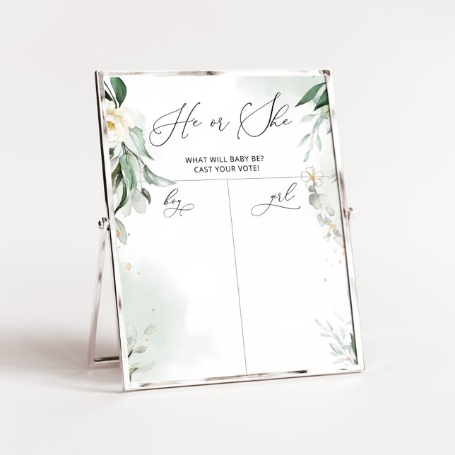 Poster Verde Sexo revela Gráfico de Menino ou Rapariga (Criador carregado)