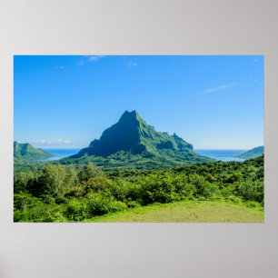 Poster verde-tropical Moorea