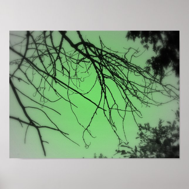 Pôster Verde vivo (Frente)