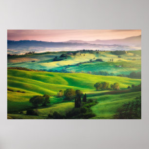 Poster Verduras lindas na paisagem e com luz pa