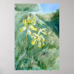 Pôster Veris do Primula de Cowslips em um banco gramíneo