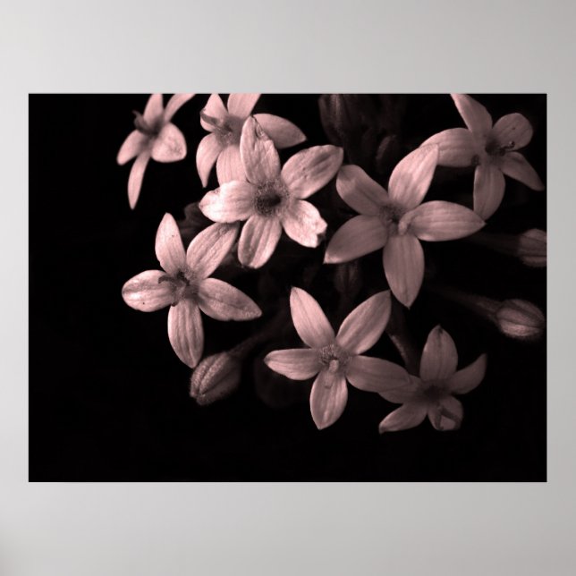 Pôster vermelho (Frente)