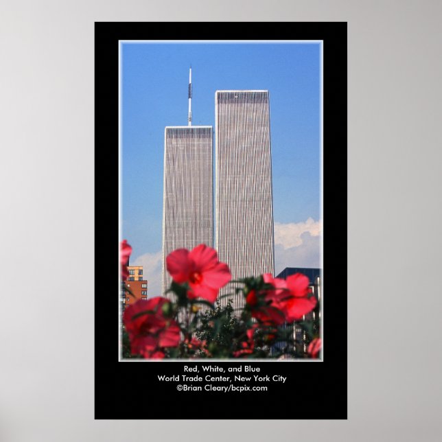 Poster Vermelho, Branco e Azul... (Frente)