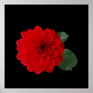 Pôster vermelho brilhante