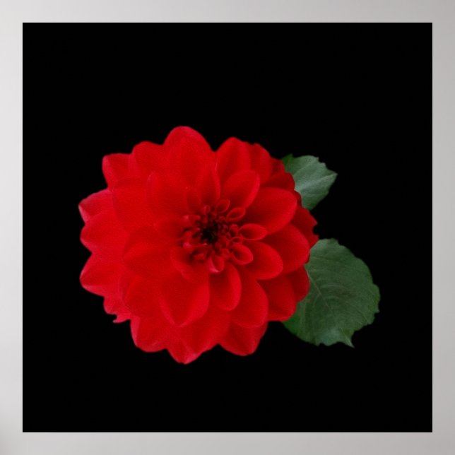 Pôster vermelho brilhante (Frente)