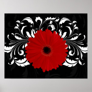 Pôster Vermelho brilhante Gerbera Daisy em preto