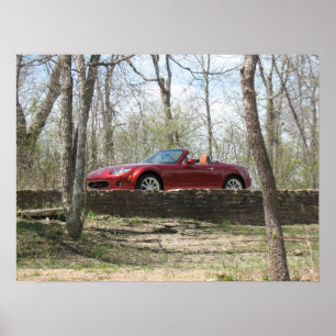 Poster Vermelho de cobre