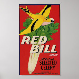 poster vermelho do aipo da conta