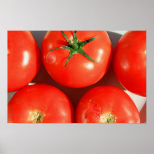 Poster vermelho dos tomates